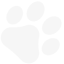 paw-1